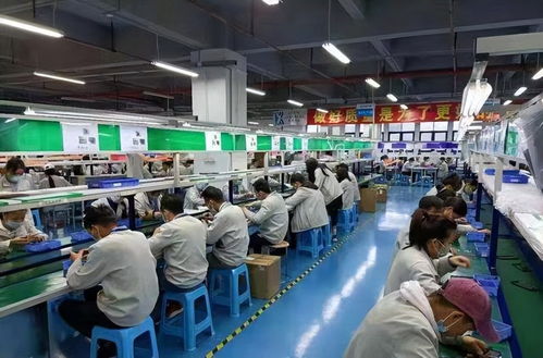 从清华学子到卷烟厂操作工 专业与职业选择的多元探索