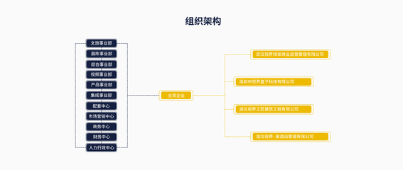 湖北视界文旅 酒店管理的创新引领者